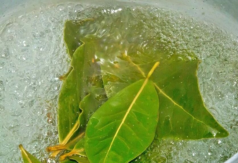 A decoction of the leaf of the breast
